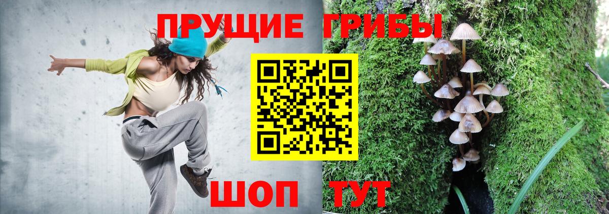 Тара  купить наркотики сайты  Вход с VPN  Псилоцибиновые грибы GOLDEN TEACHER 